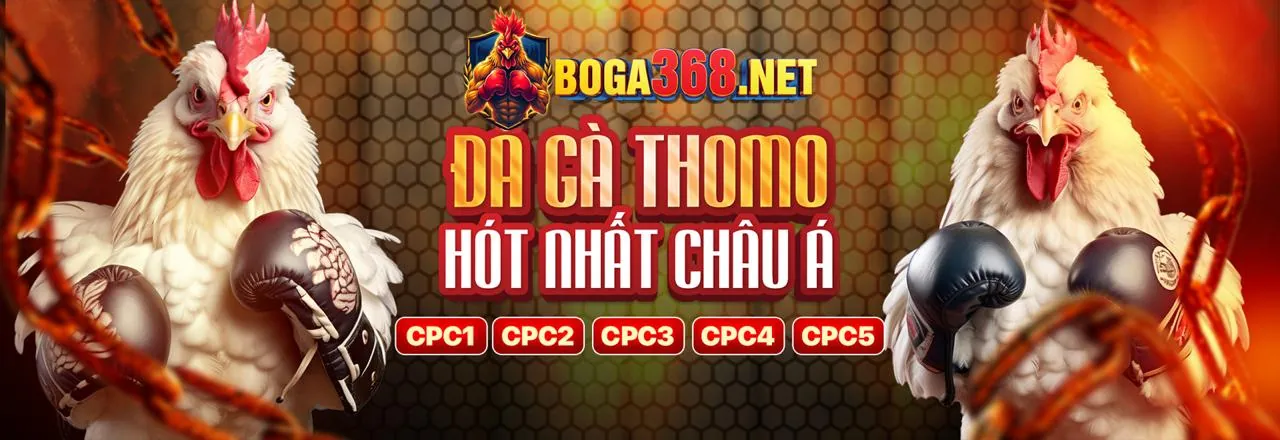 Hình ảnh giới thiệu 6ff2, nền tảng cá cược trực tuyến hàng đầu